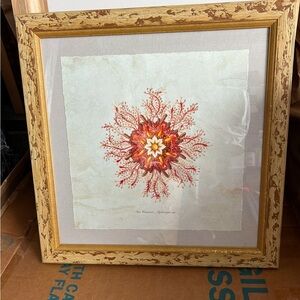 BEACH STYLE / Framed Coral Art Print with Distressed Wood Frame